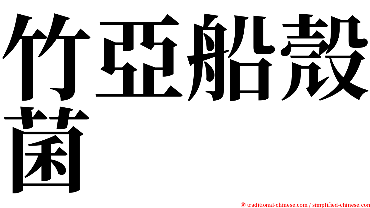 竹亞船殼菌 serif font