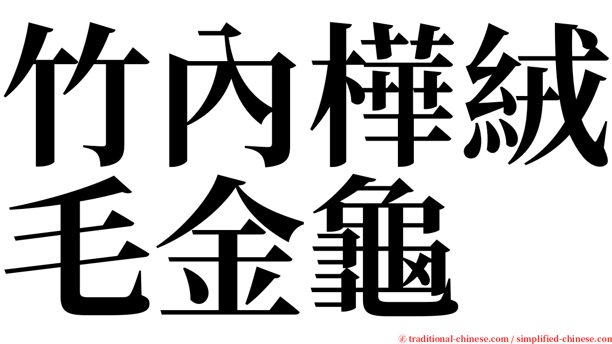 竹內樺絨毛金龜 serif font