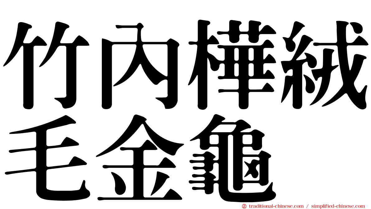 竹內樺絨毛金龜