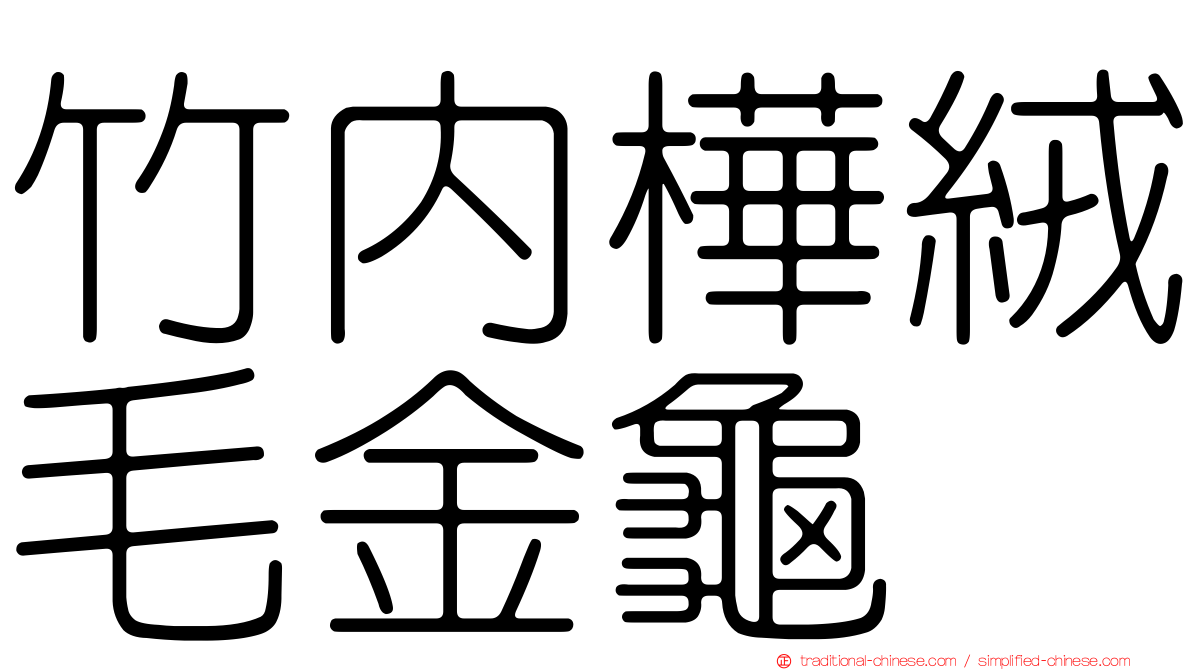 竹內樺絨毛金龜