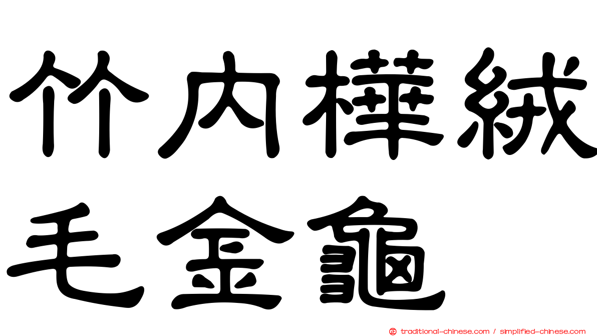 竹內樺絨毛金龜