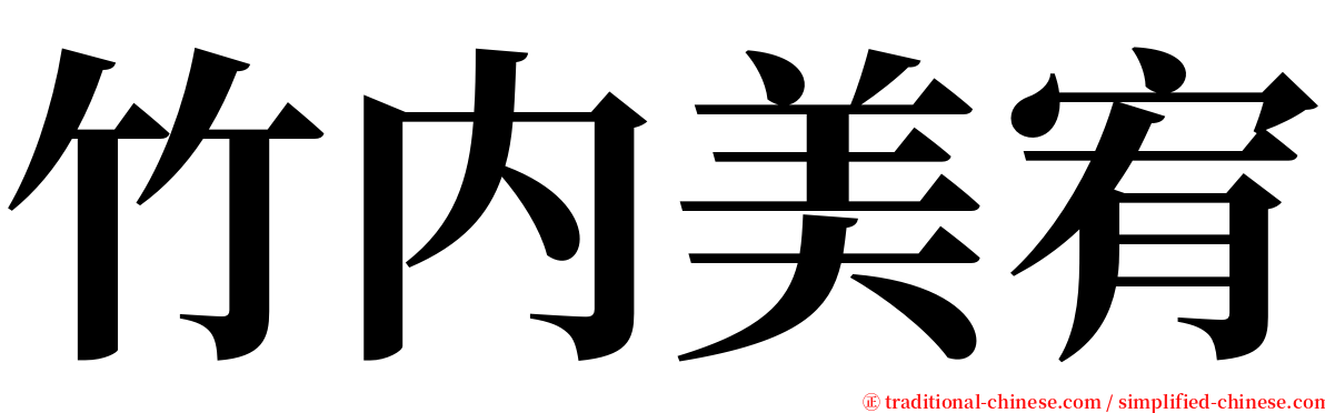 竹内美宥 serif font