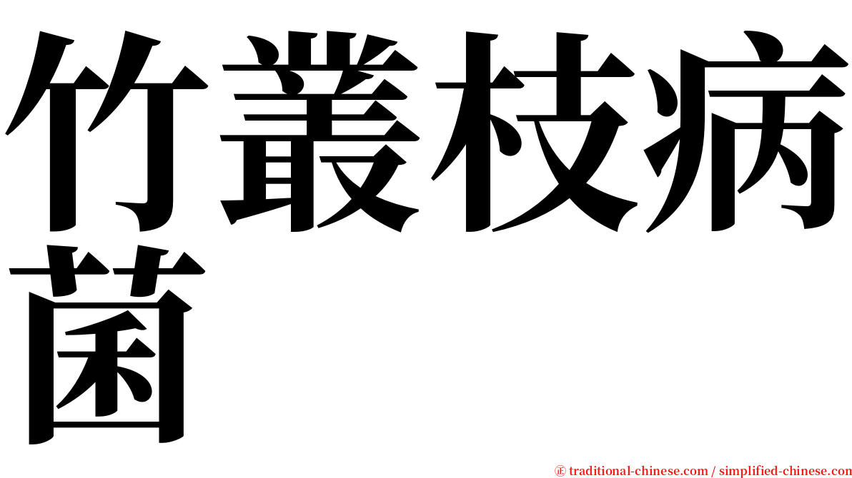 竹叢枝病菌 serif font