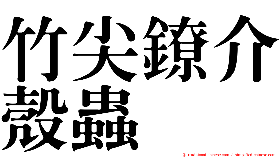 竹尖鐐介殼蟲