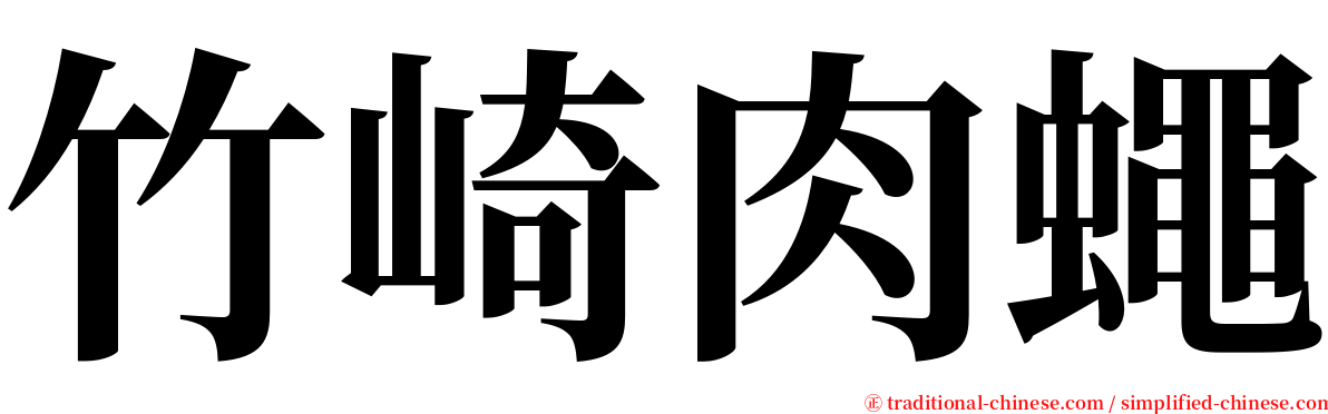 竹崎肉蠅 serif font