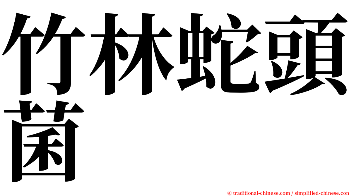 竹林蛇頭菌 serif font