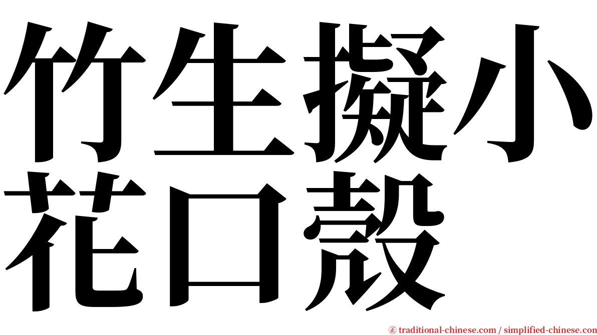 竹生擬小花口殼 serif font