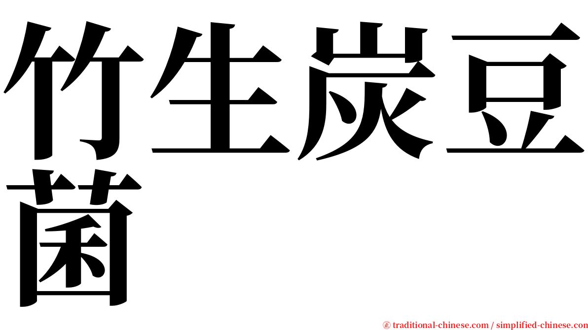 竹生炭豆菌 serif font