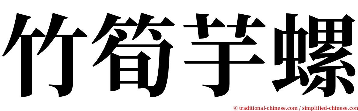 竹筍芋螺 serif font