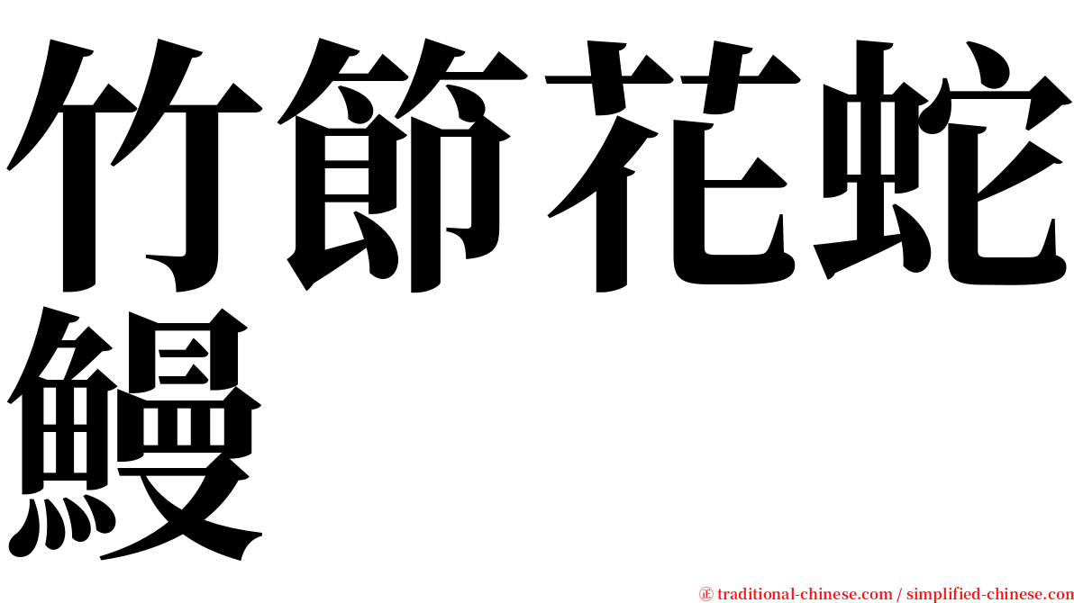 竹節花蛇鰻 serif font