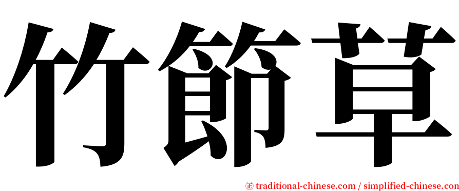 竹節草 serif font