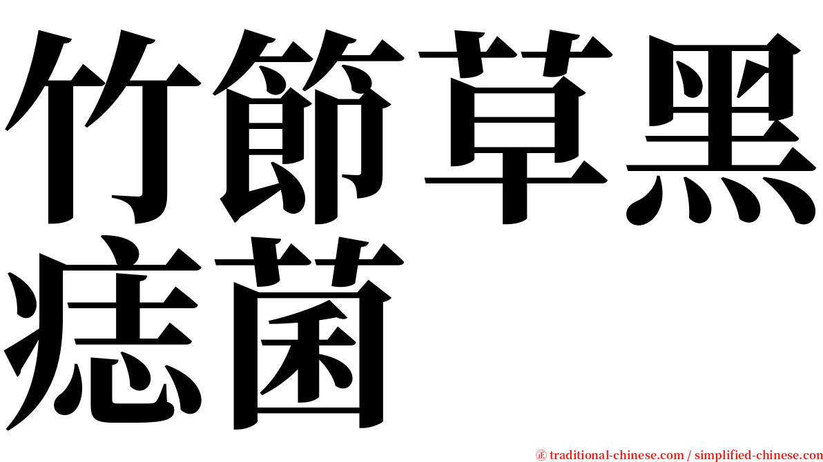 竹節草黑痣菌 serif font