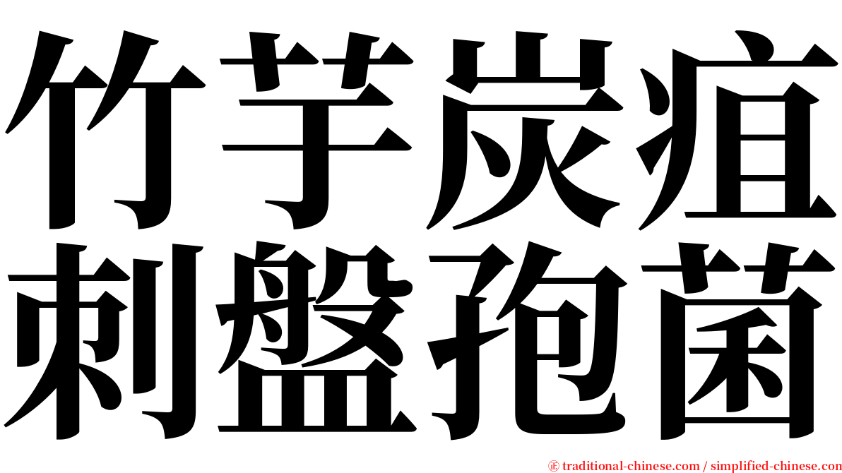 竹芋炭疽刺盤孢菌 serif font