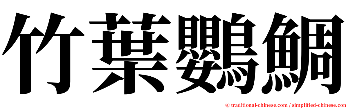 竹葉鸚鯛 serif font