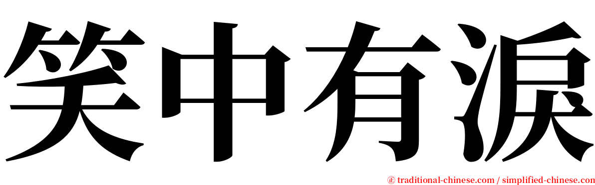 笑中有淚 serif font