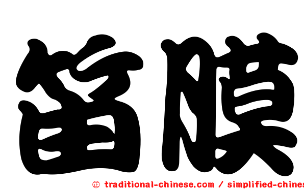 笛膜