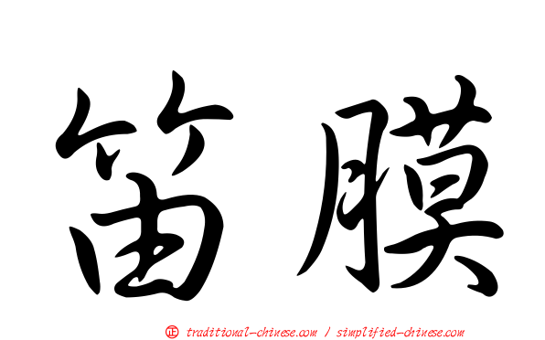 笛膜