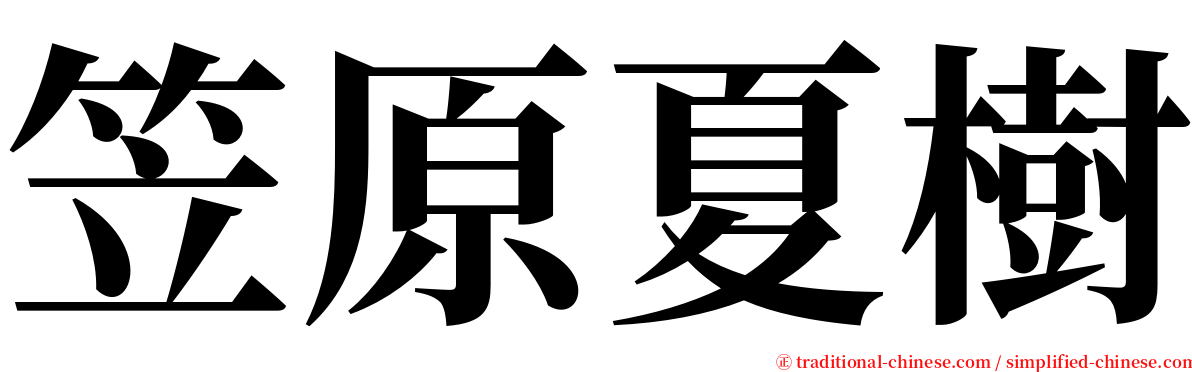 笠原夏樹 serif font