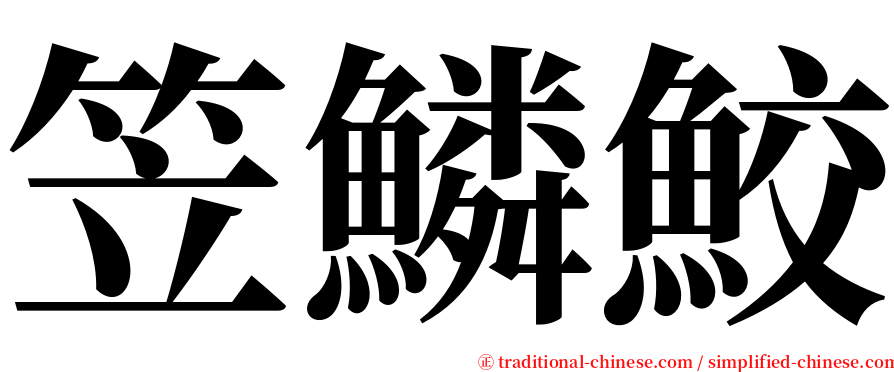 笠鱗鮫 serif font