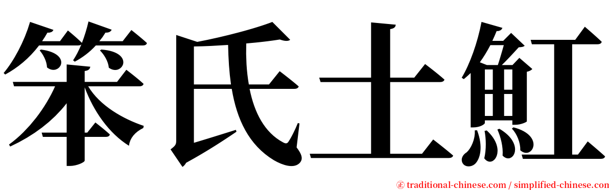 笨氏土魟 serif font