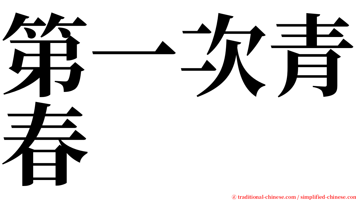 第一次青春 serif font