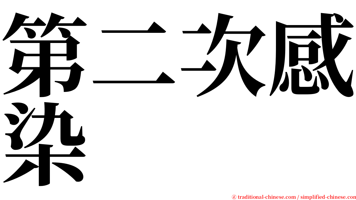 第二次感染 serif font