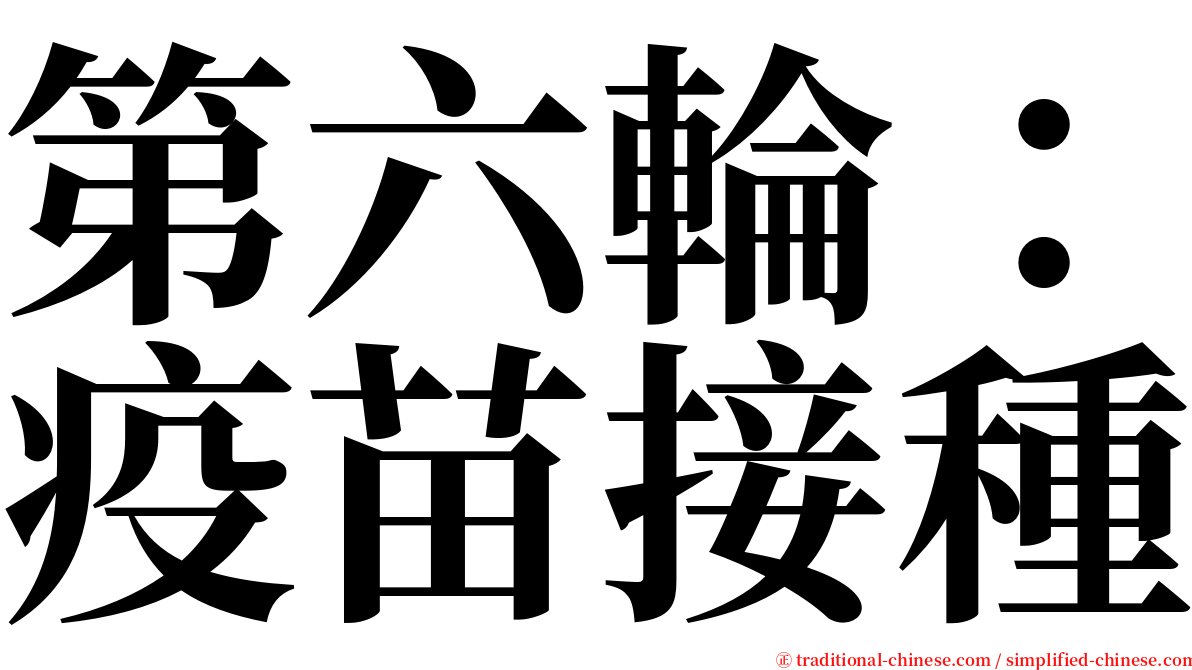 第六輪：疫苗接種 serif font