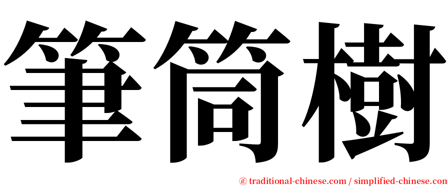 筆筒樹 serif font