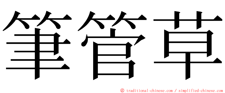 筆管草 ming font