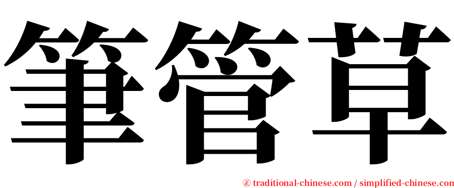 筆管草 serif font