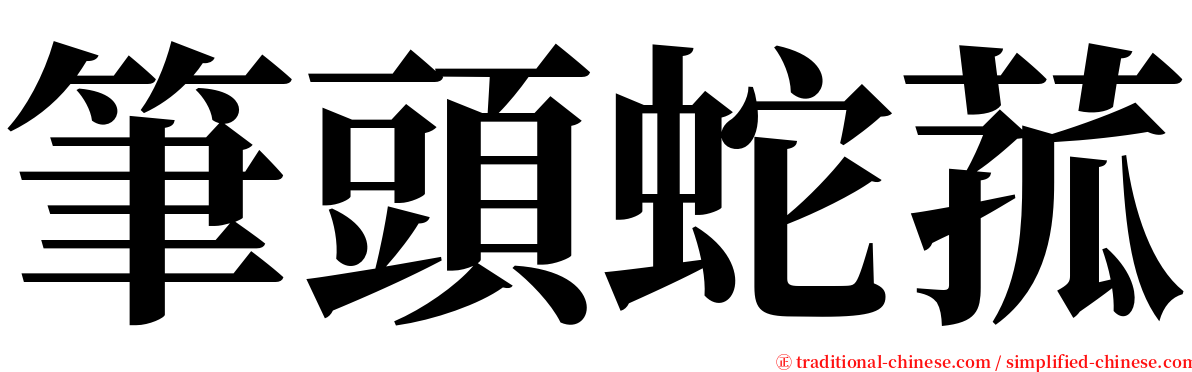 筆頭蛇菰 serif font