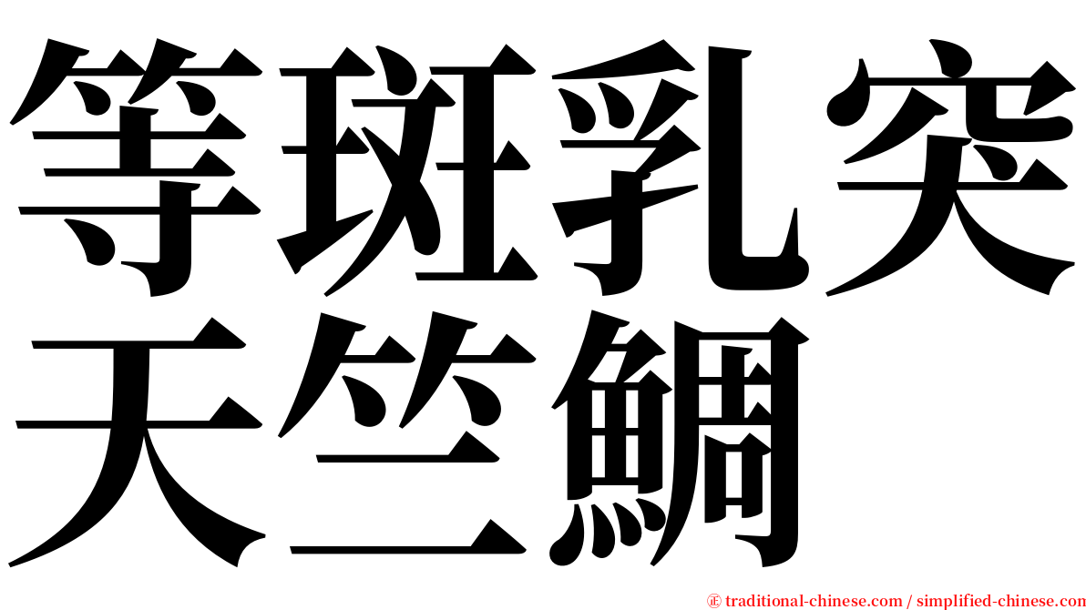 等斑乳突天竺鯛 serif font