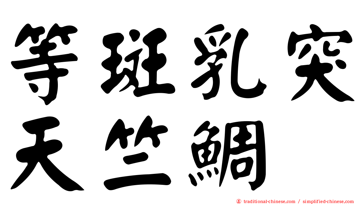 等斑乳突天竺鯛