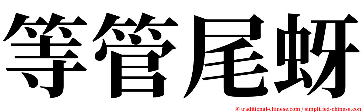 等管尾蚜 serif font