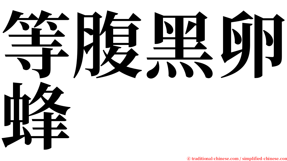 等腹黑卵蜂 serif font