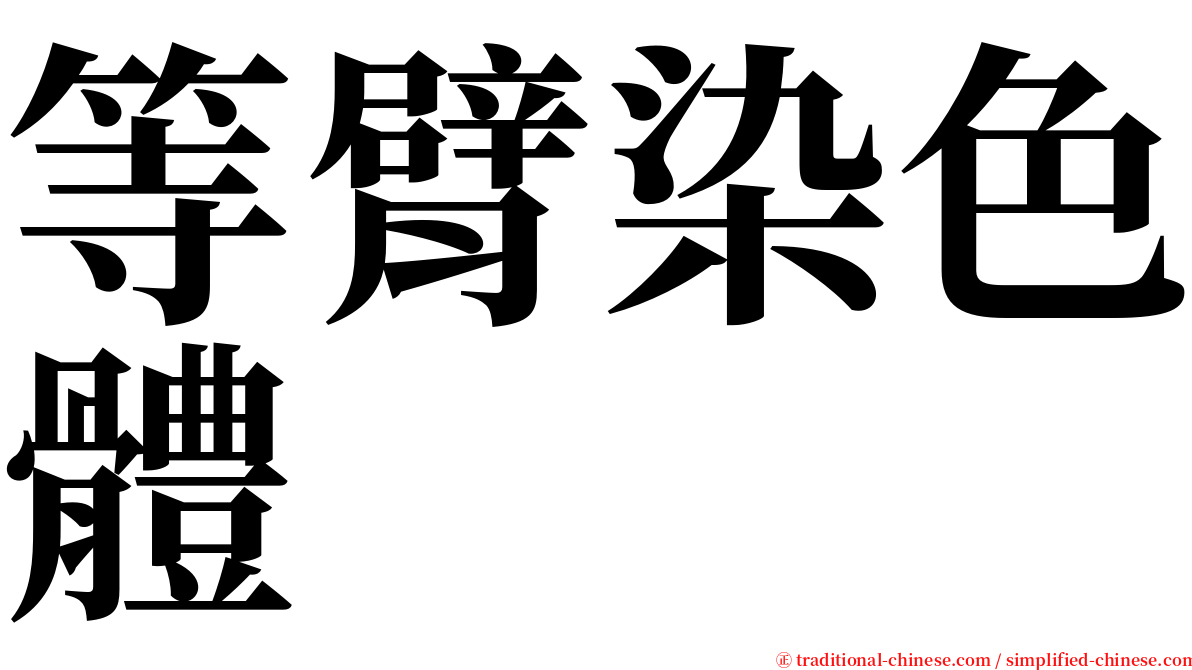 等臂染色體 serif font