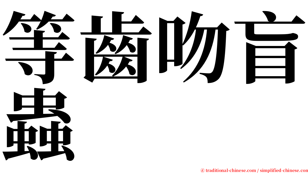 等齒吻盲蟲 serif font