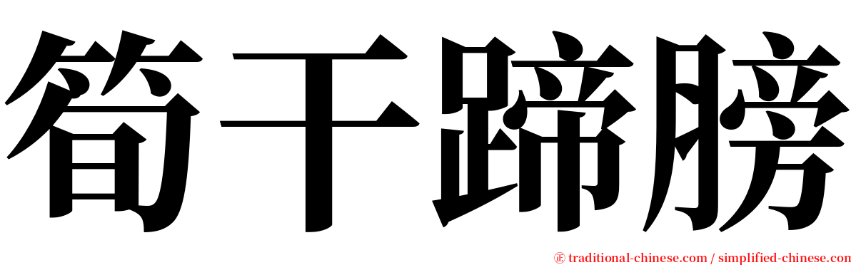 筍干蹄膀 serif font