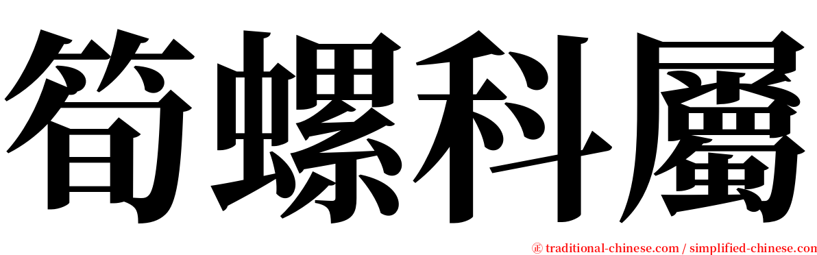 筍螺科屬 serif font