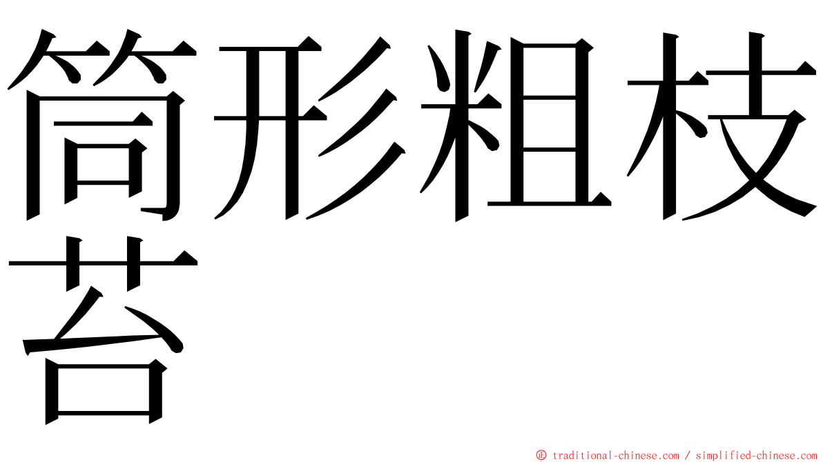 筒形粗枝苔 ming font