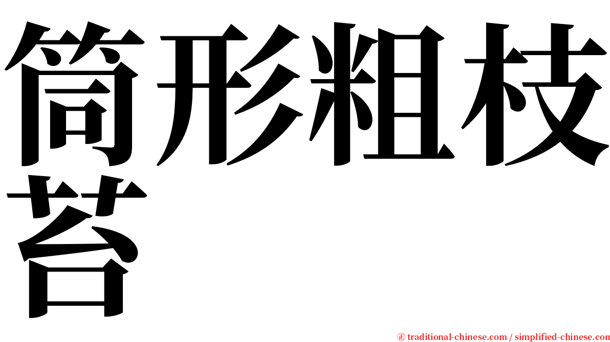 筒形粗枝苔 serif font