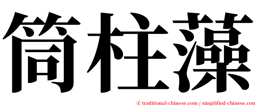 筒柱藻 serif font