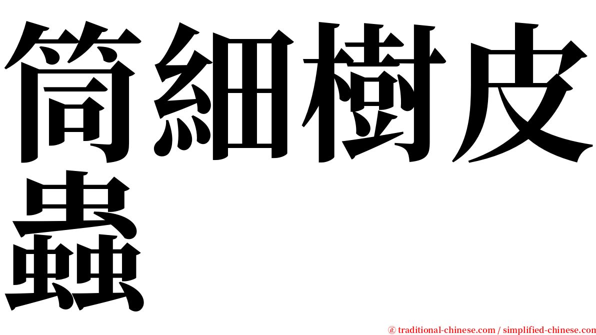 筒細樹皮蟲 serif font