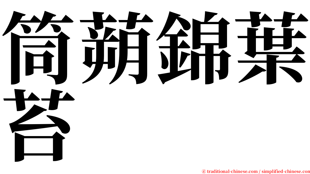 筒蒴錦葉苔 serif font