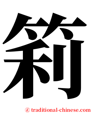 筣 serif font