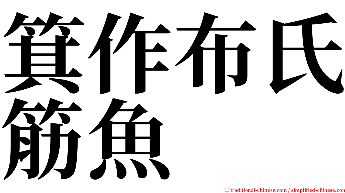 箕作布氏筋魚 serif font