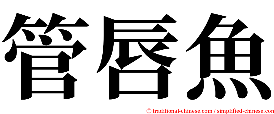 管唇魚 serif font