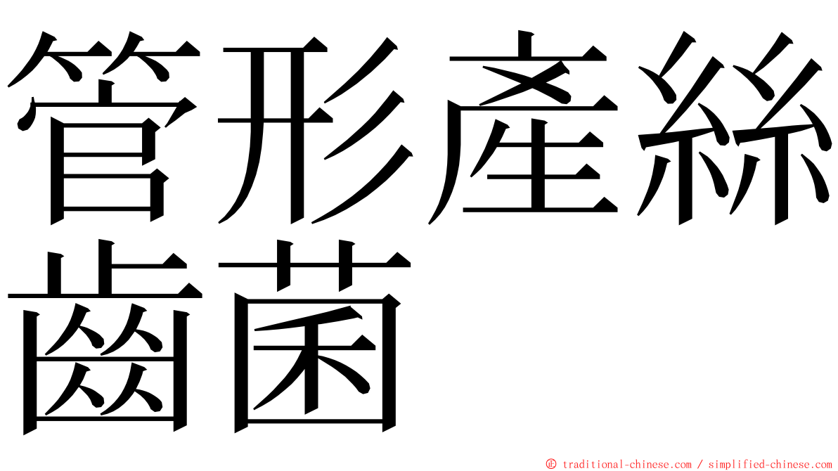 管形產絲齒菌 ming font