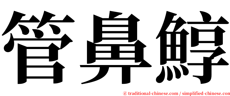 管鼻鯙 serif font