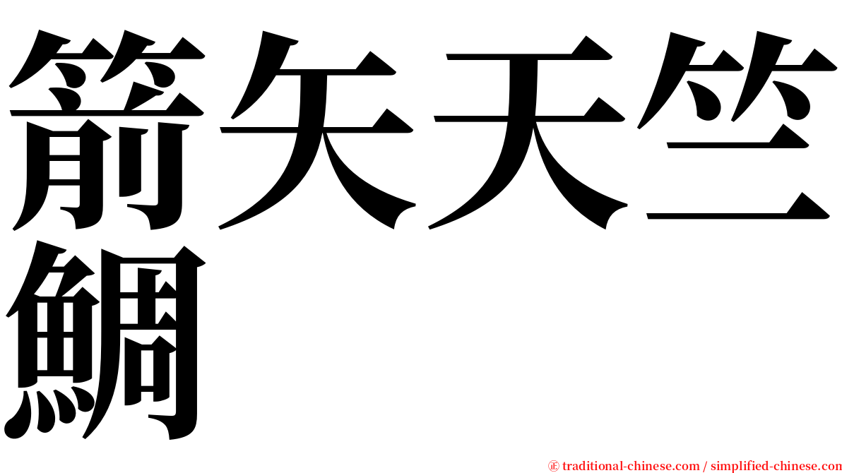 箭矢天竺鯛 serif font